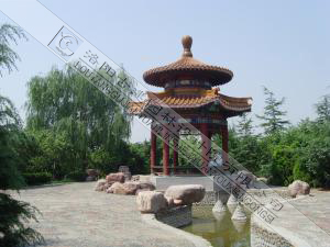 中國國花園
